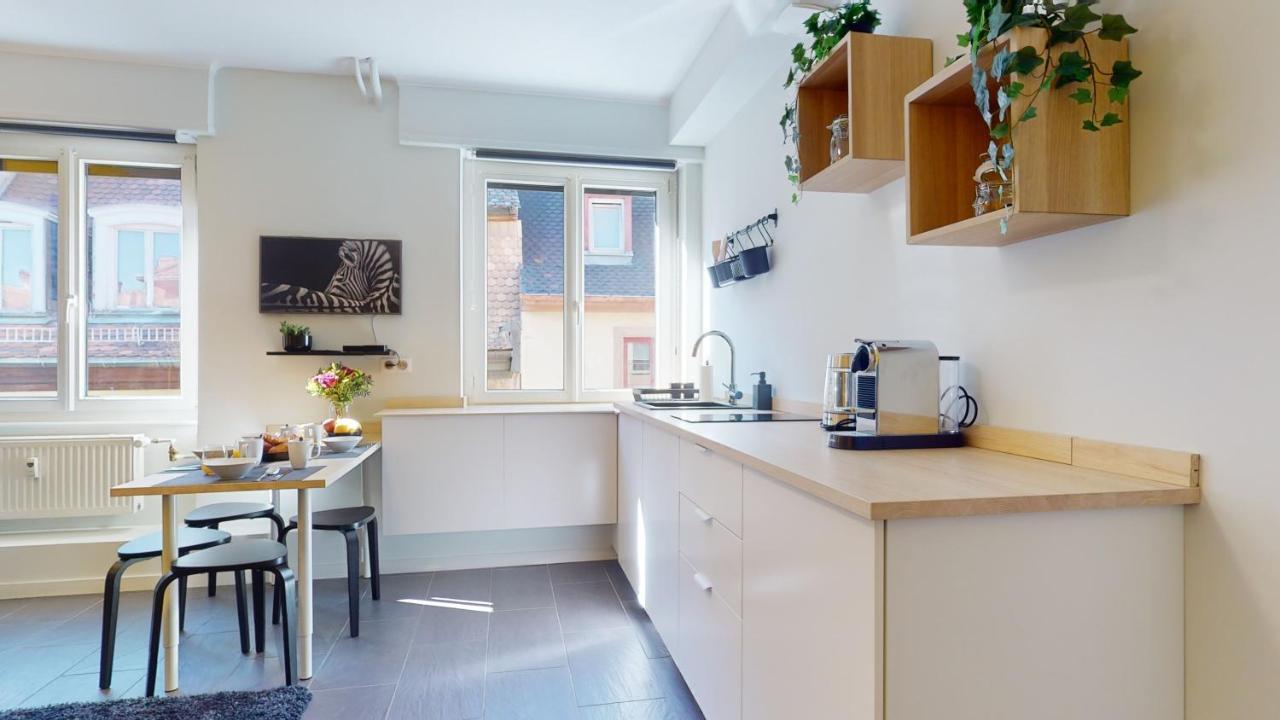 Suite Privative 43M2 - Les Tailleurs A 120M De La Cathedrale Straßburg Exterior foto