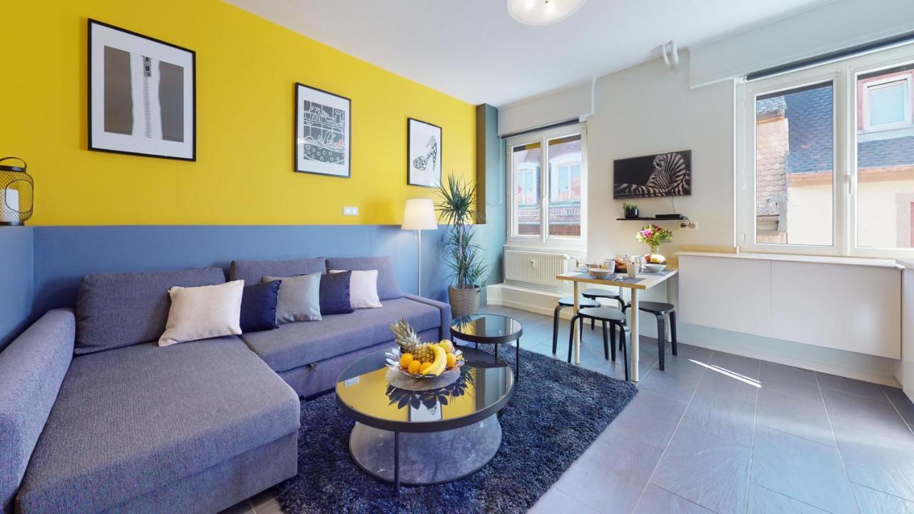 Suite Privative 43M2 - Les Tailleurs A 120M De La Cathedrale Straßburg Exterior foto
