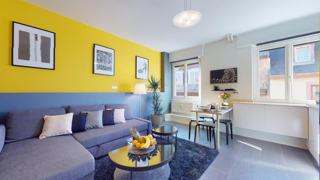 Suite Privative 43M2 - Les Tailleurs A 120M De La Cathedrale Straßburg Exterior foto